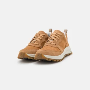 qualité d’originales Clarks Atltrekfreewp – Baskets Basses – Light Tan 12